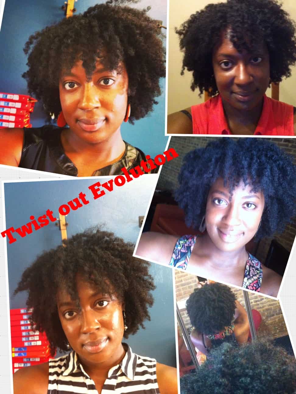 Twist Out Natural Hair - ALove4Me